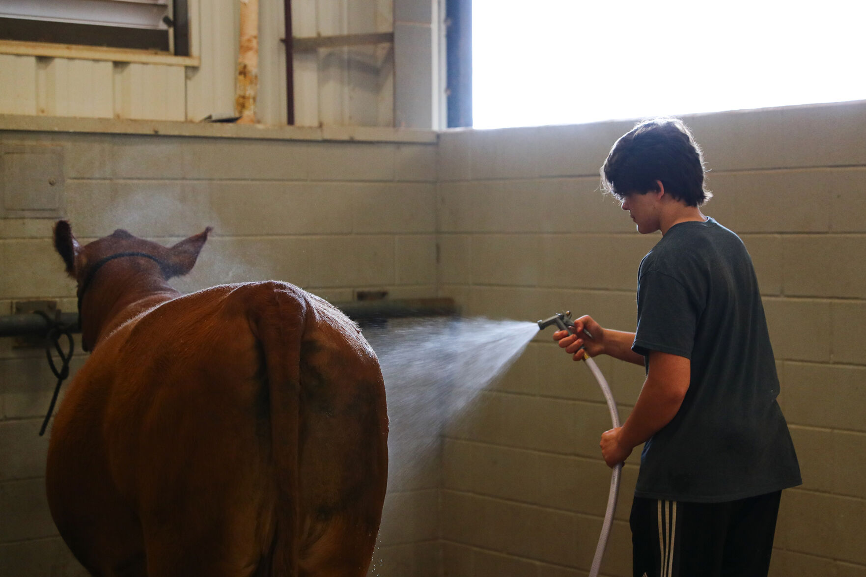 Brazos Valley Youth Livestock Show